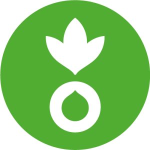 Action Against Hunger logo on green background